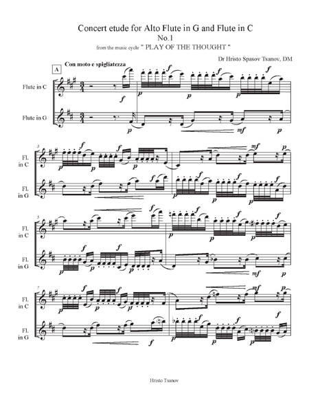Concert etude for Alto Flute in G and Flute in C | Tsanoff